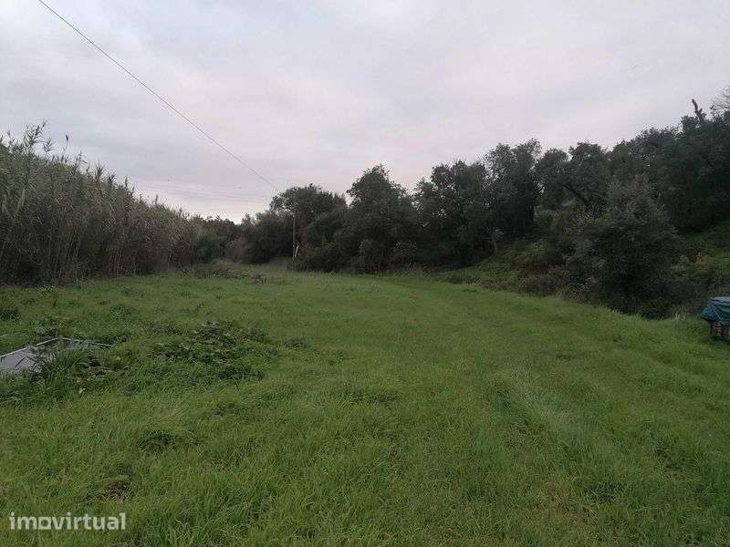 Terreno 12ha misto com possibilidade de turismo rural Bensafrim - Grande imagem: 3/8