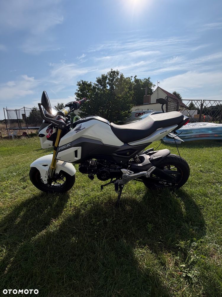 Honda MSX 125 - 4