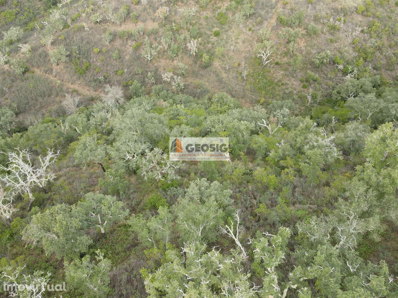 Terreno Rústico  Venda em São Barnabé,Almodôvar - Grande imagem: 4/19
