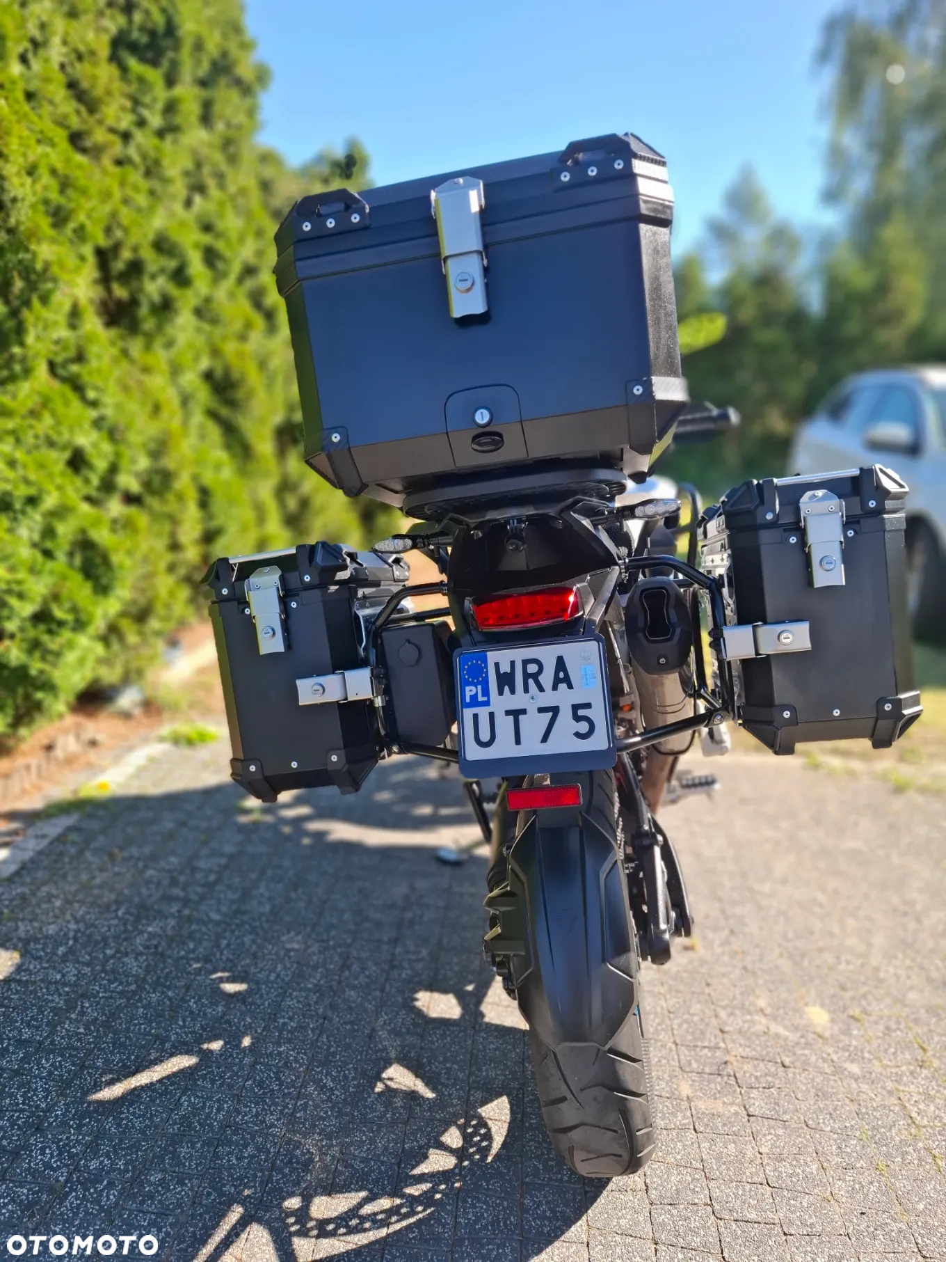 Triumph Tiger - 5