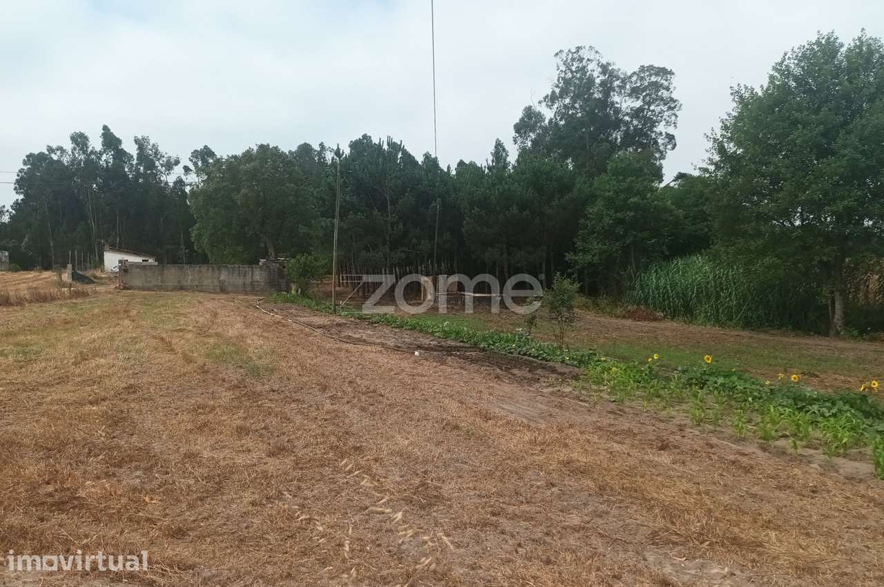 Terreno Agricola em Moita Vaqueira - Arazede - Grande imagem: 3/8