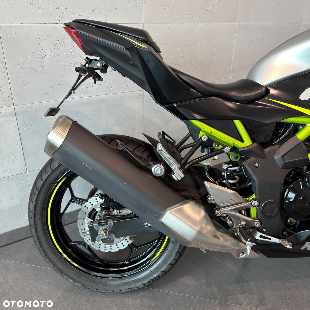 Kawasaki Ninja - 6