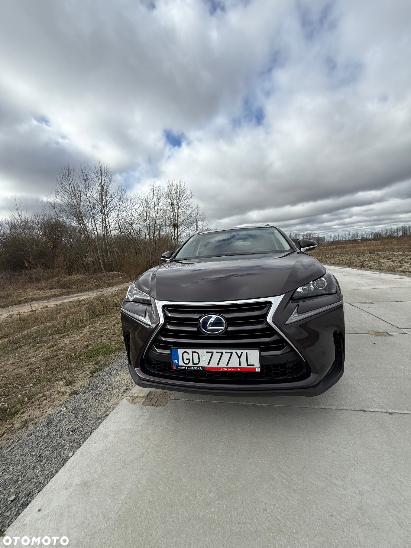 Lexus NX - 2