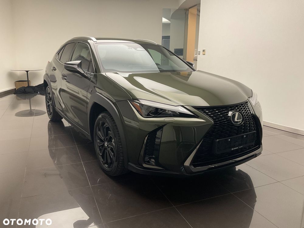 Lexus UX 300h F Sport Design - 12