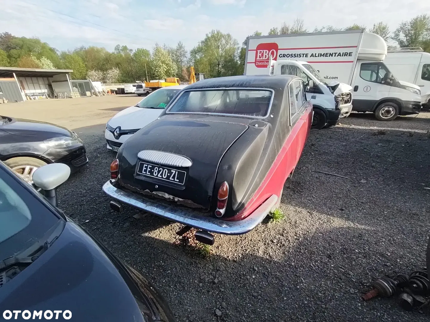 Jaguar Inny - 2