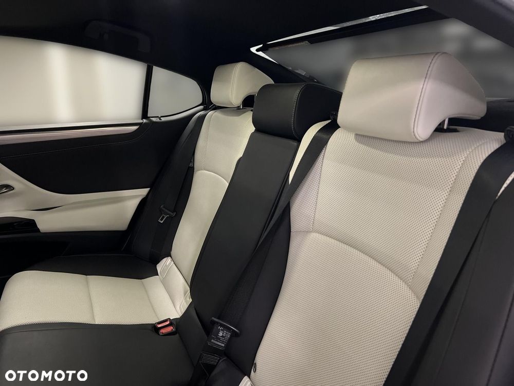 Lexus ES 300h F Sport Edition - 14