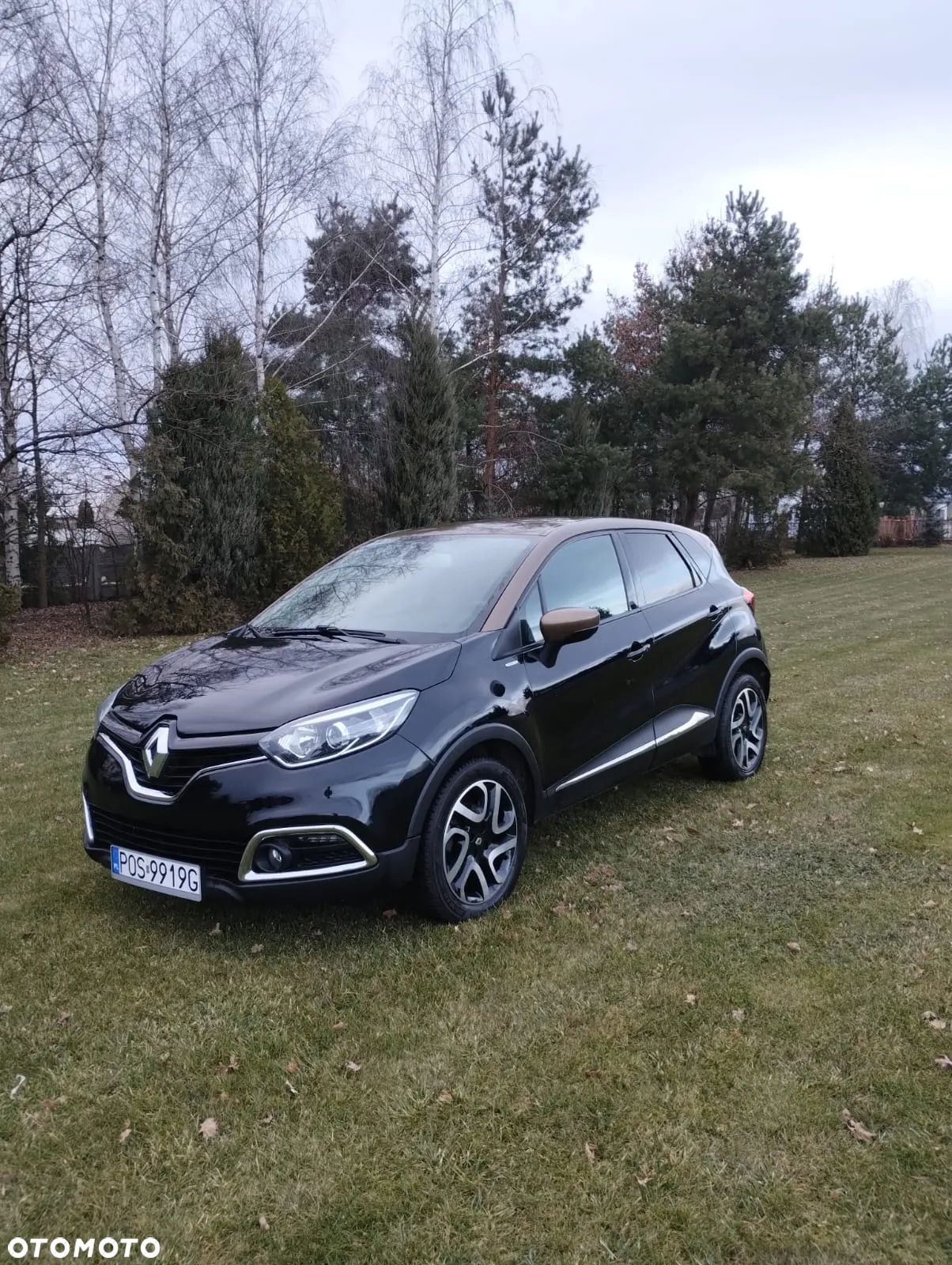 Renault Captur - 1