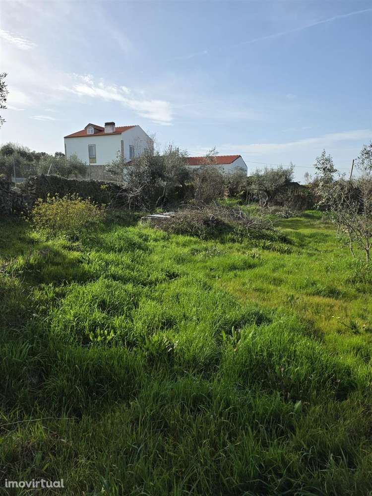 Terreno - Grande imagem: 3/7