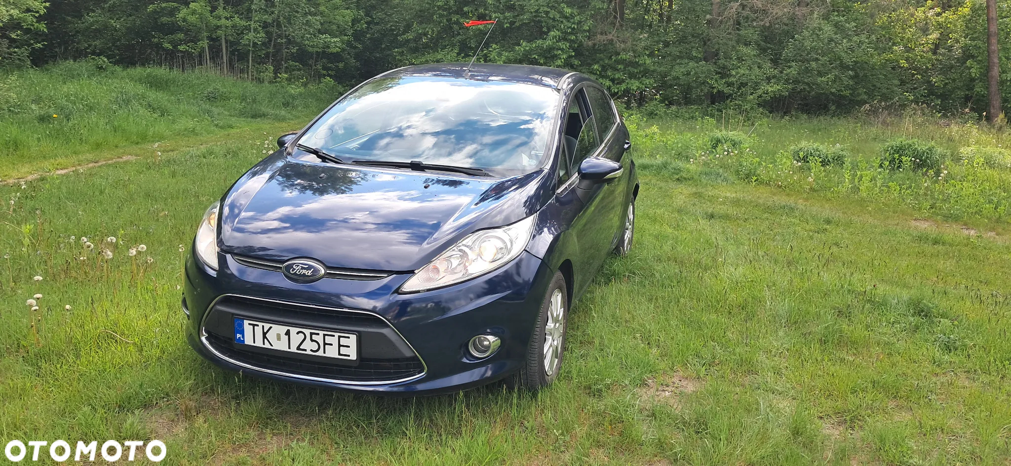 Ford Fiesta 1.6 TDCi Titanium - 9