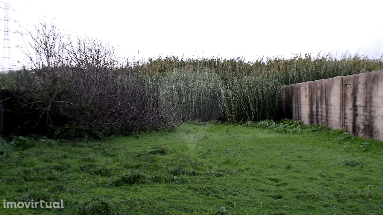 Terreno  para arrendamento - Grande imagem: 5/19