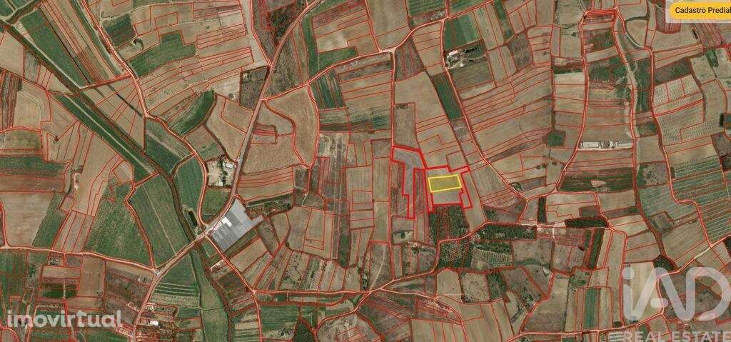 Terreno em Atouguia da Baleia de 4400,00 m2 - Grande imagem: 4/30