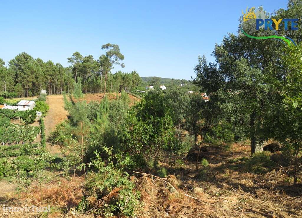 Moradia de tipologia T3 próxima da Vila da Sertã - Grande imagem: 2/60