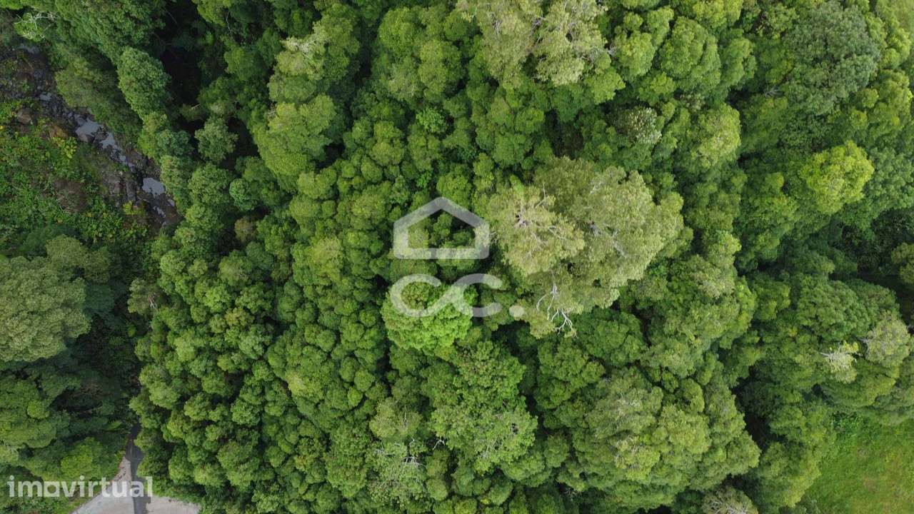 Terreno com 2.089,00 m2 - Santo António Nordestinho - Nordeste - Grande imagem: 2/8