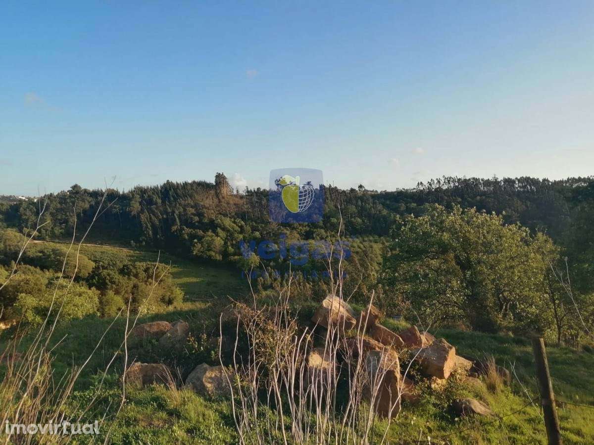 Terreno na Laranjeira de Alvorninha - Grande imagem: 3/6