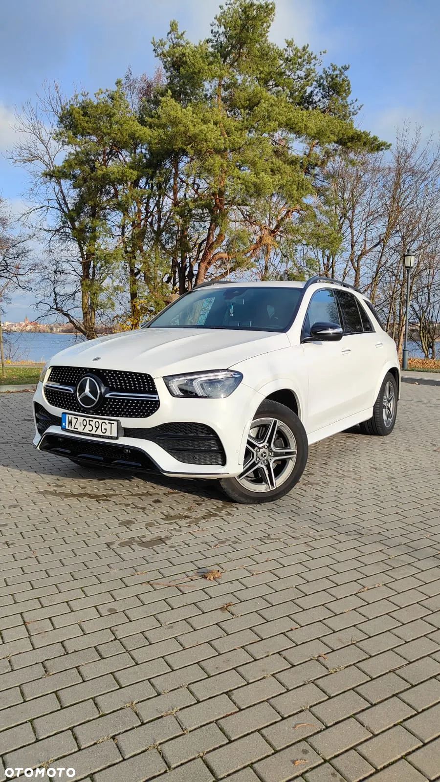 Mercedes-Benz GLE 350 d 4-Matic - 1