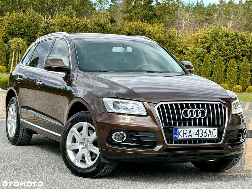 Audi Q5 - 22