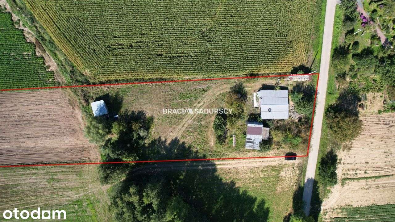 Działka, 7 730 m², Kazimierza Wielka - Pełny obrazek: 4/14