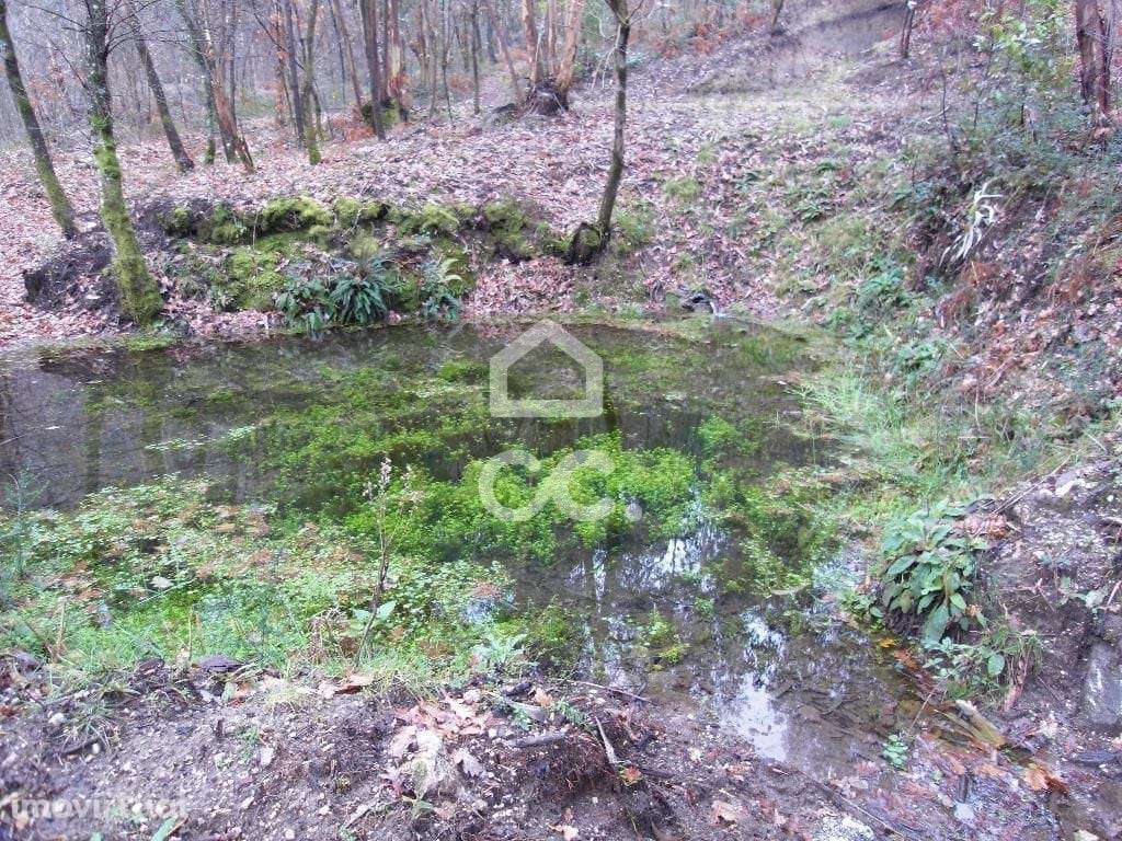 Terreno para moradia - Terreno para Construção - Grande imagem: 3/23