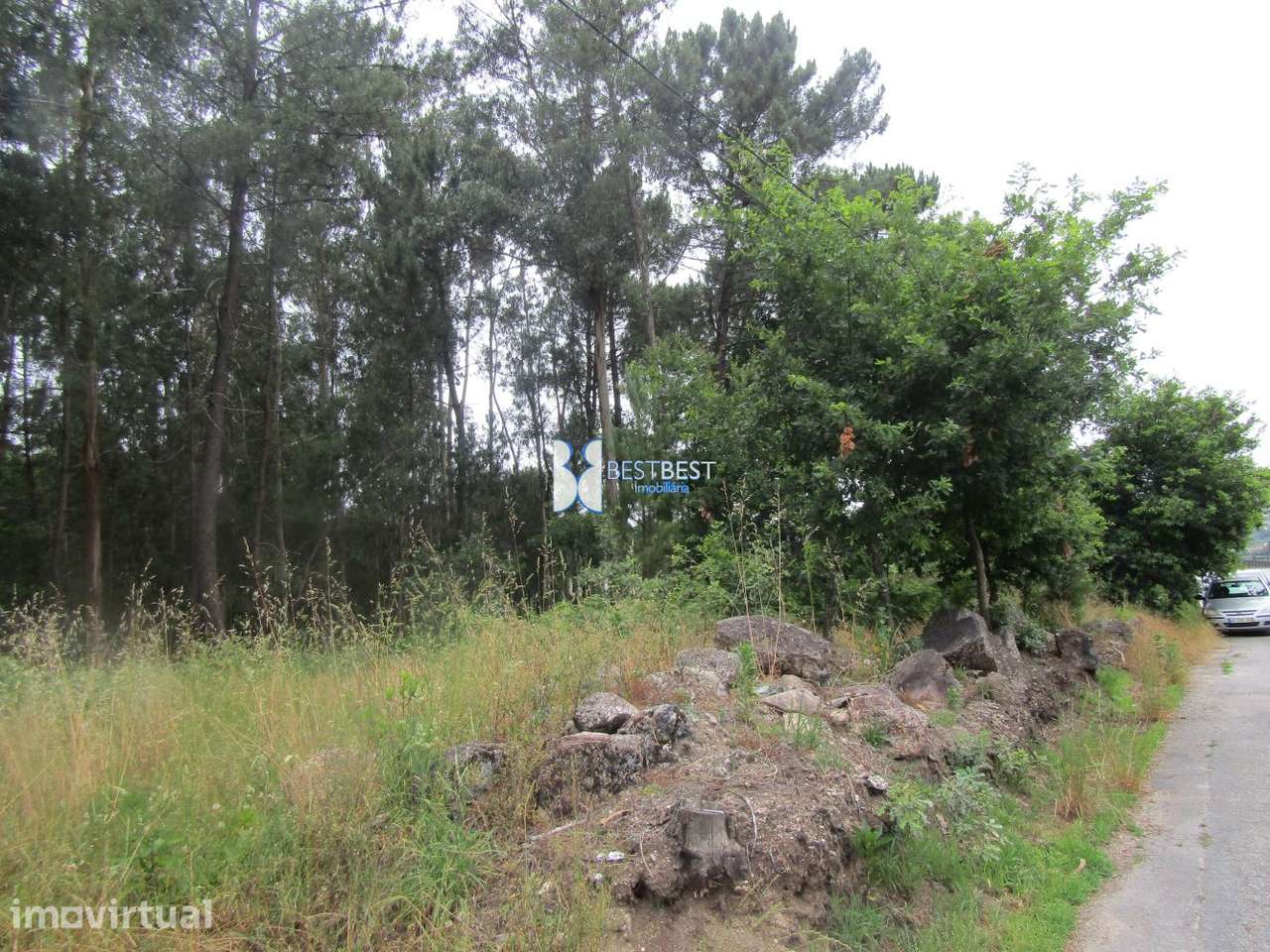 EXCELENTE TERRENO, C/9600 M2, JUNTO Á DIDAX EM CRUZ, FAMALICÃO - Grande imagem: 3/14