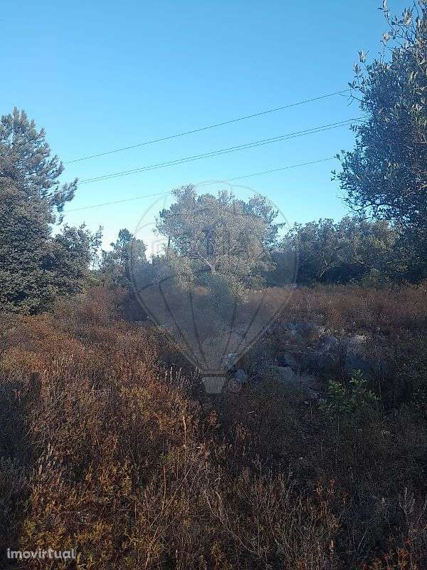 Terreno  para venda - Grande imagem: 2/7