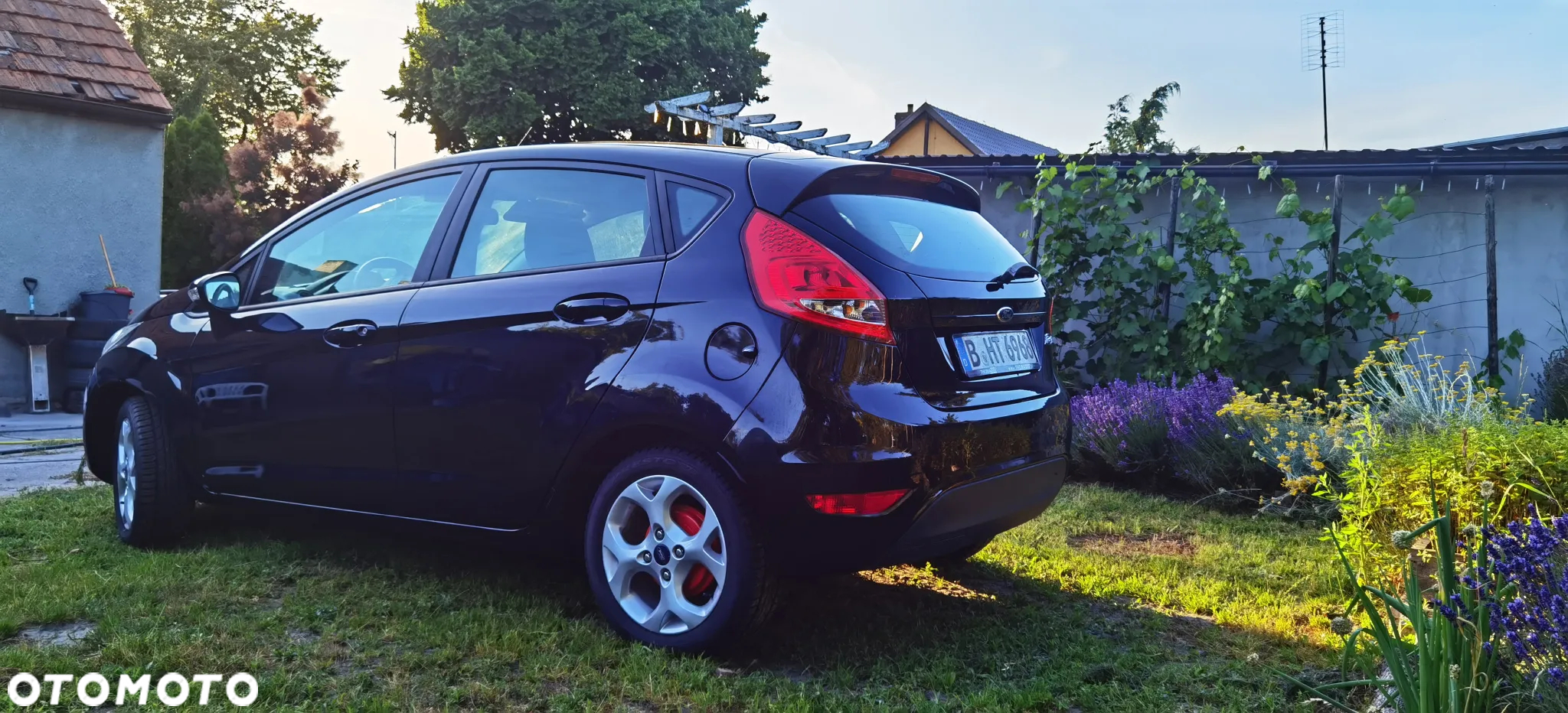 Ford Fiesta - 2
