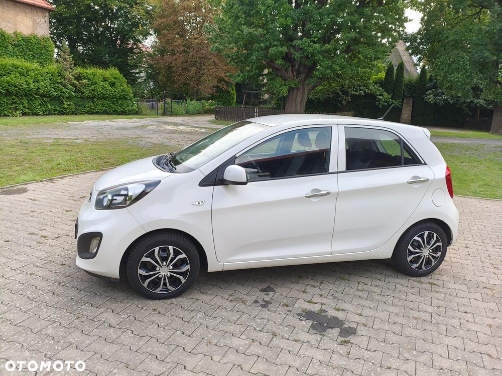 Kia Picanto 1.0 Edition 7 - 2