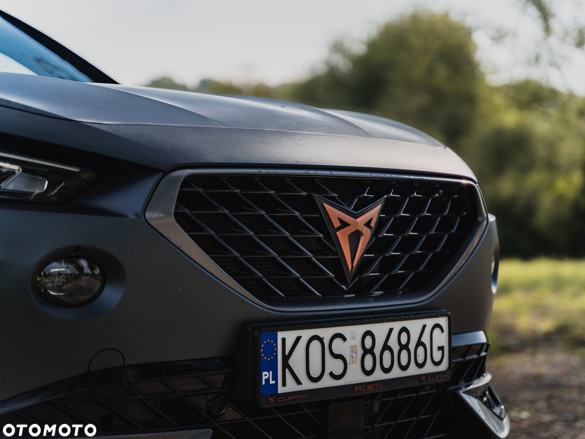 Cupra Formentor VZ 2.0 TSI 4Drive DSG - 25