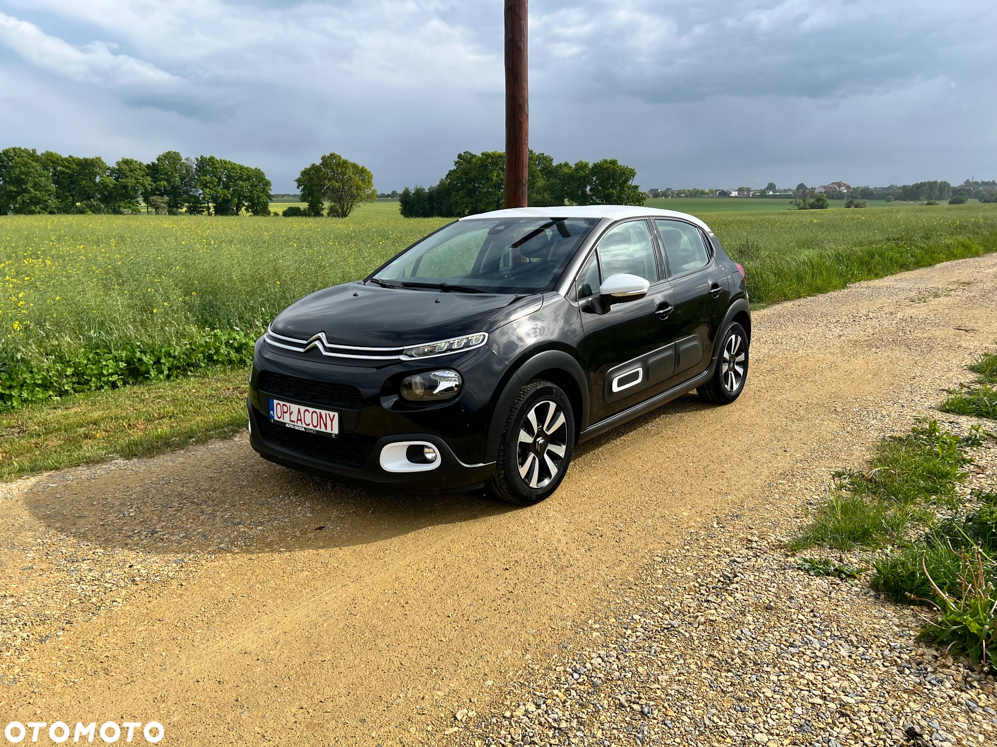 Citroën C3 1.2 PureTech GPF Shine S&S EAT6 - 20