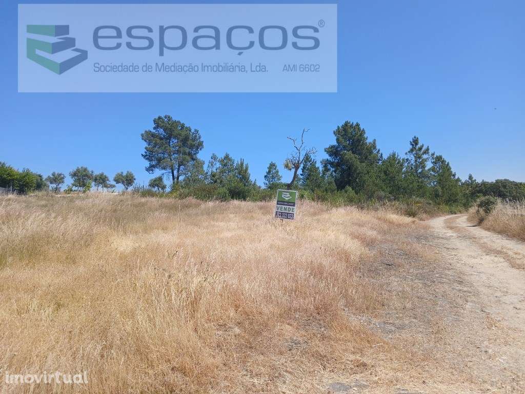 Terreno Rustico a 15km de Castelo Branco - Grande imagem: 2/9