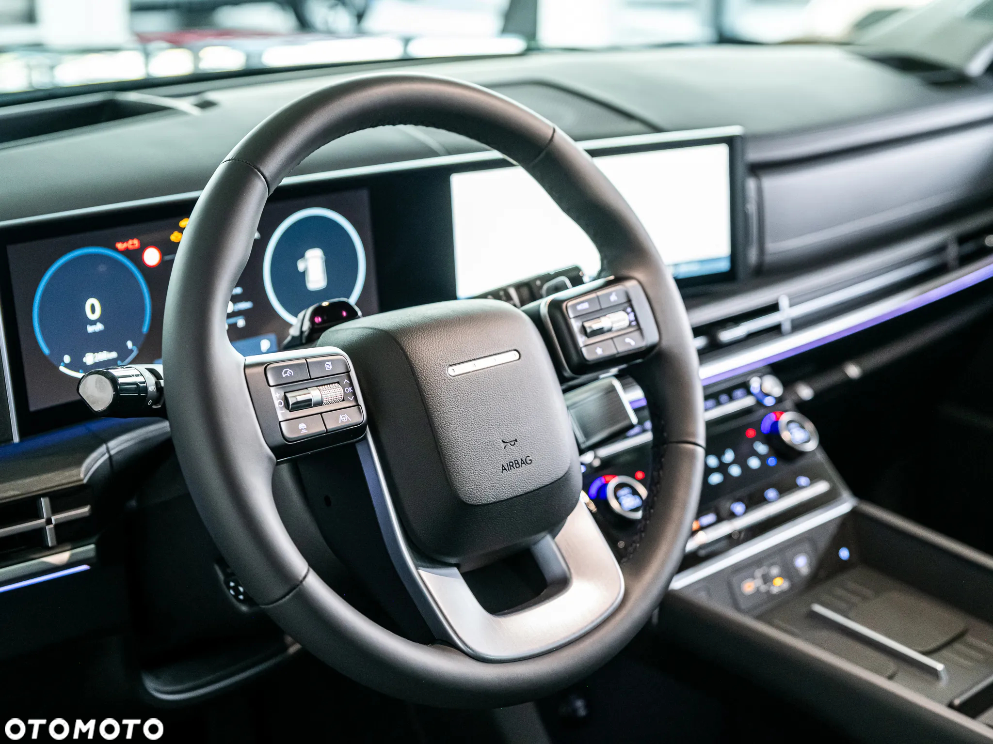 Hyundai Santa Fe - 10