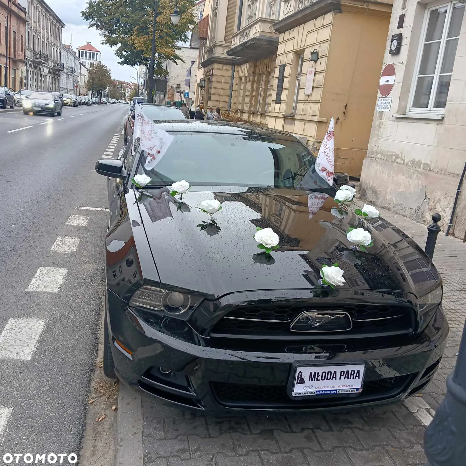 Ford Mustang 3.7 V6 Premium - 18