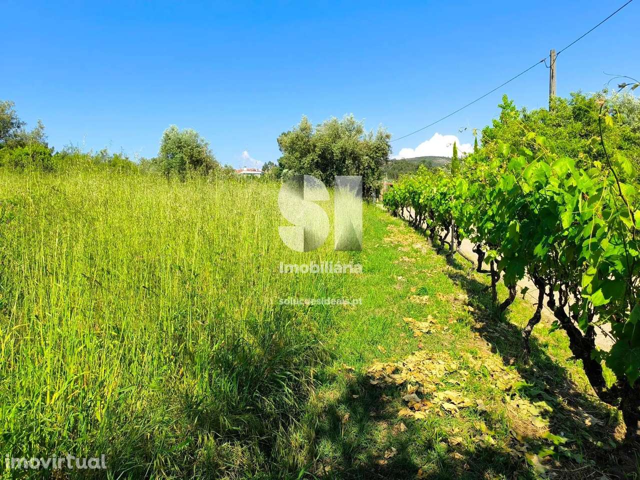 Moradia para Restaurar T1 - Grande imagem: 4/14