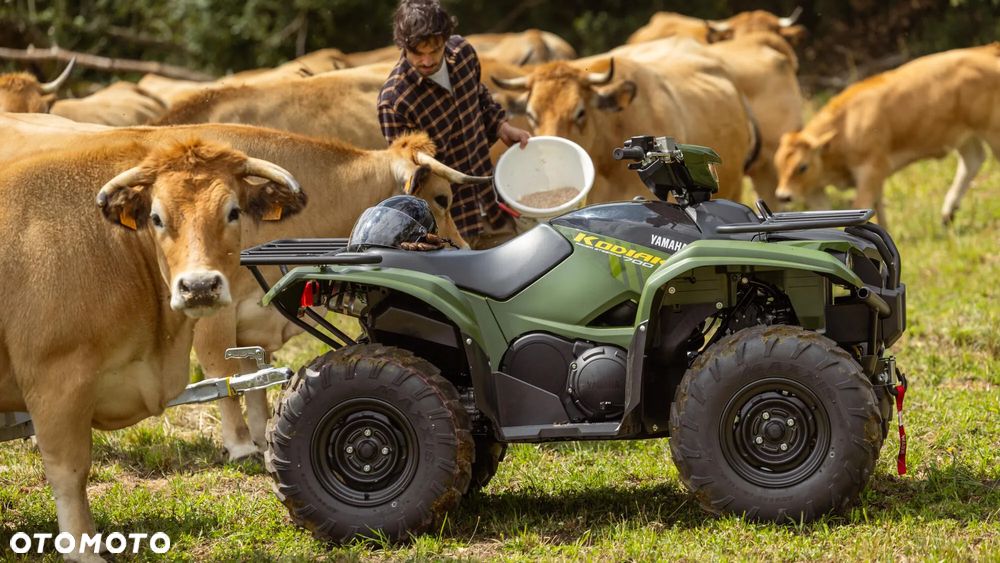 Yamaha Kodiak - 10