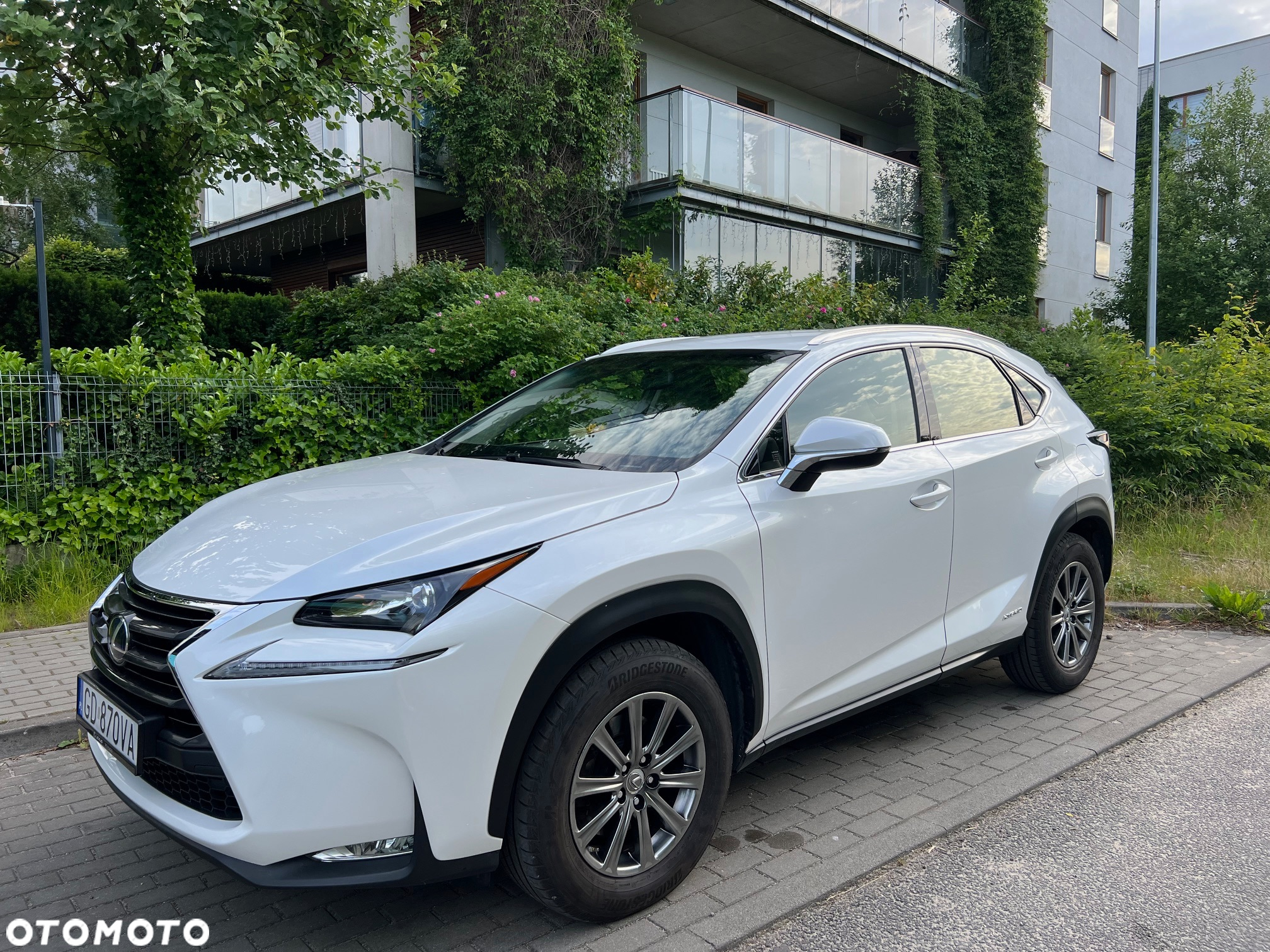 Lexus NX 300h Elite AWD - 13