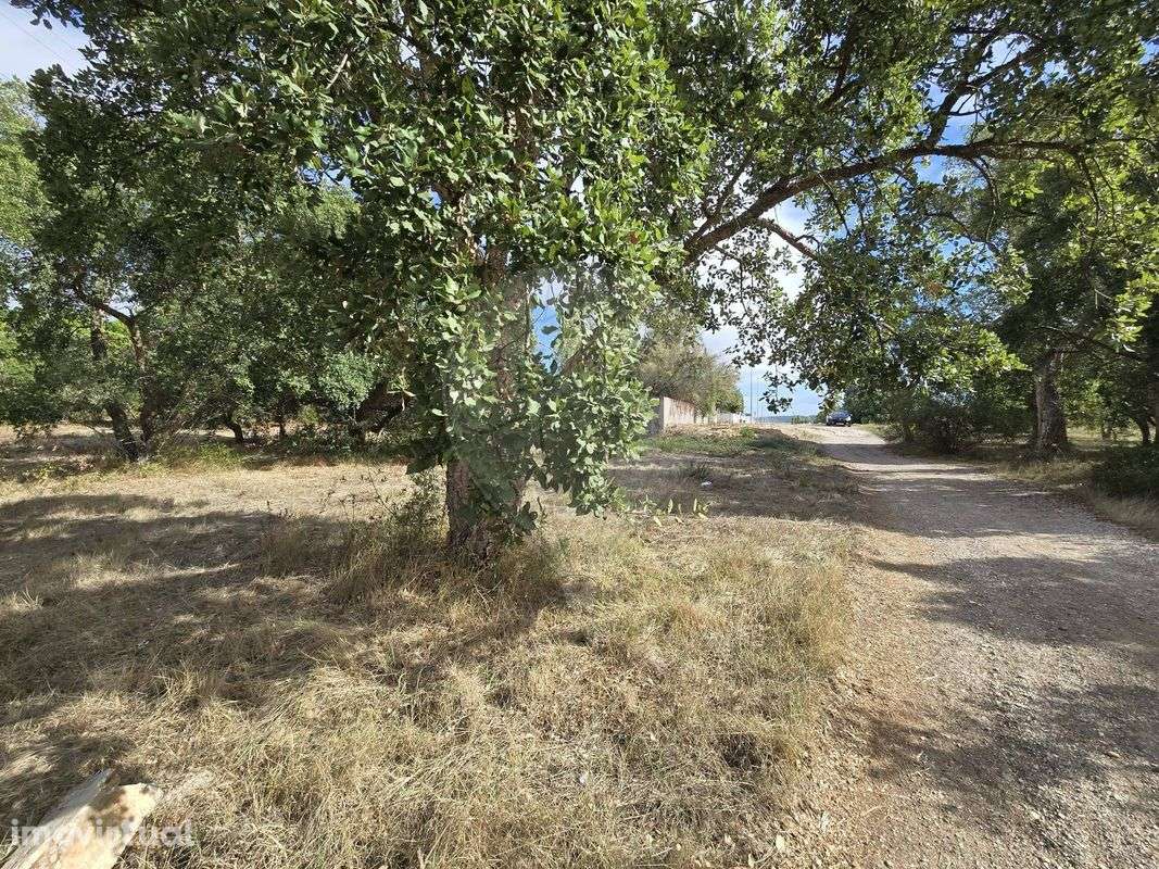 Terreno  para venda - Grande imagem: 5/12