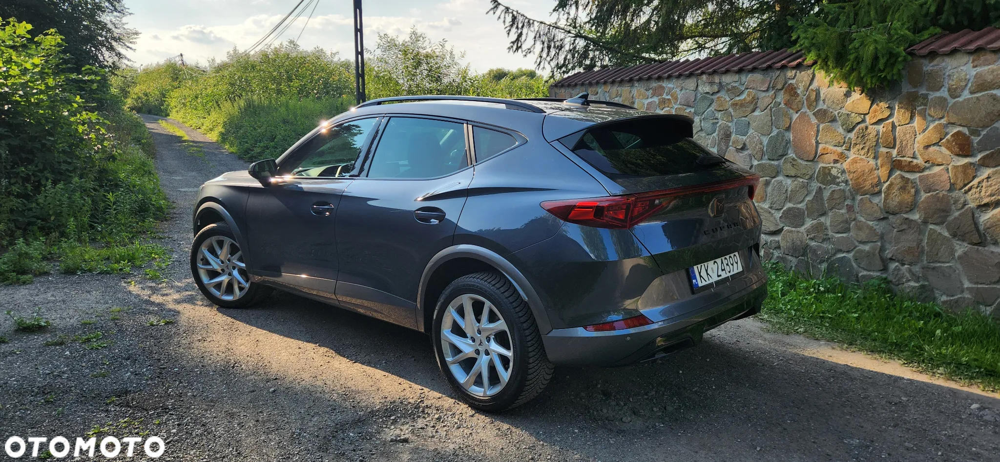 Cupra Formentor 2.0 TDI 4Drive DSG - 4
