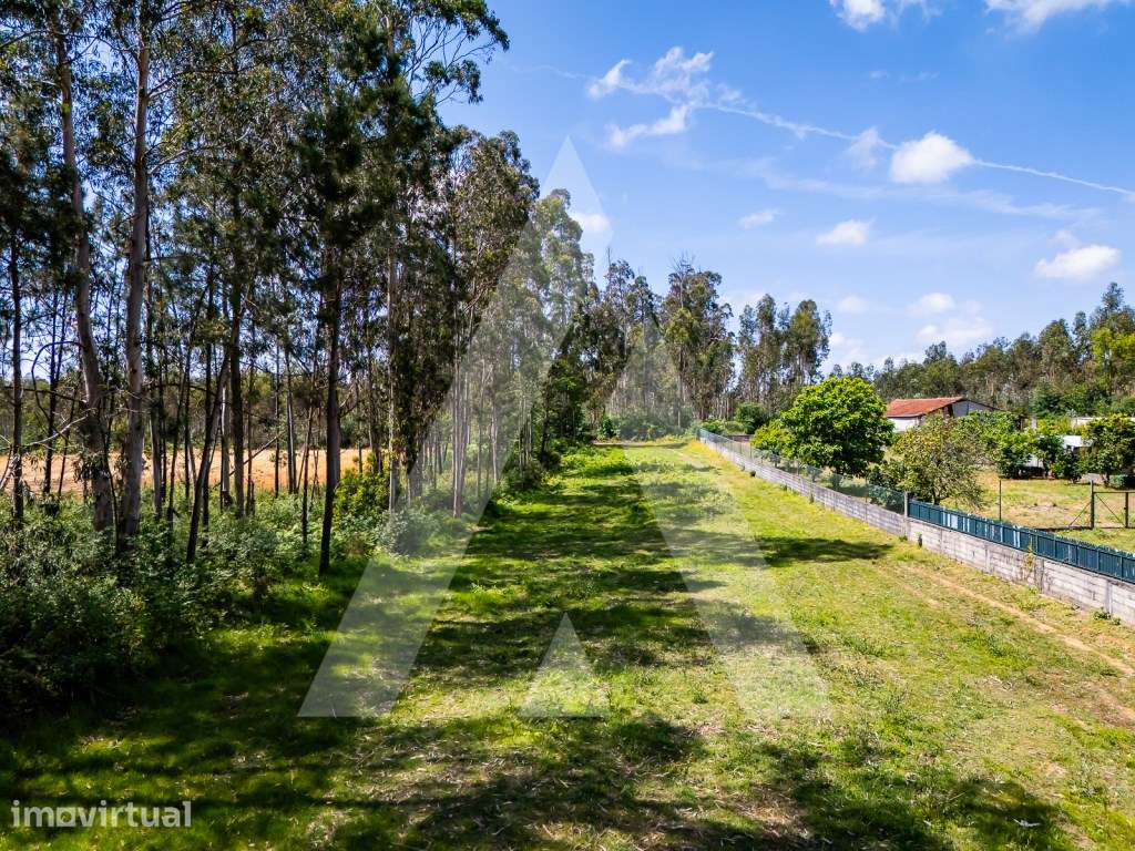 Terreno com 2600m2 para construção em Válega - Ovar - Grande imagem: 3/12