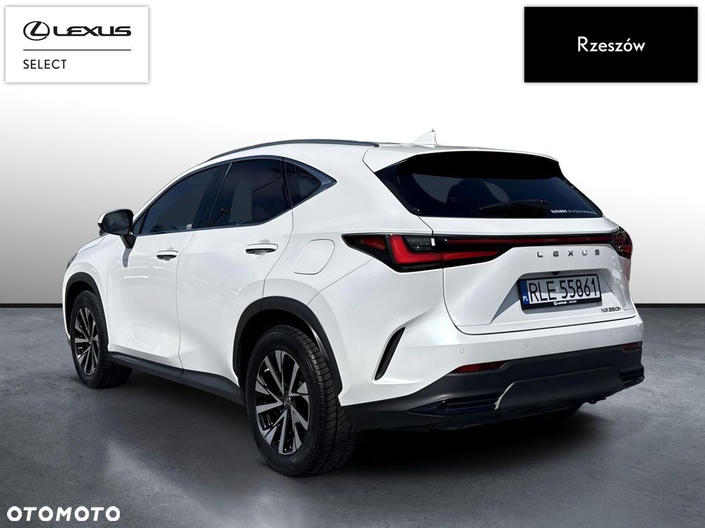 Lexus NX - 3