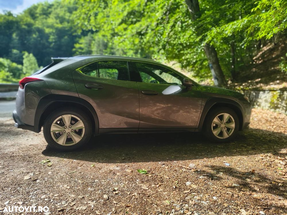 Lexus UX 250h FWD Business - 12