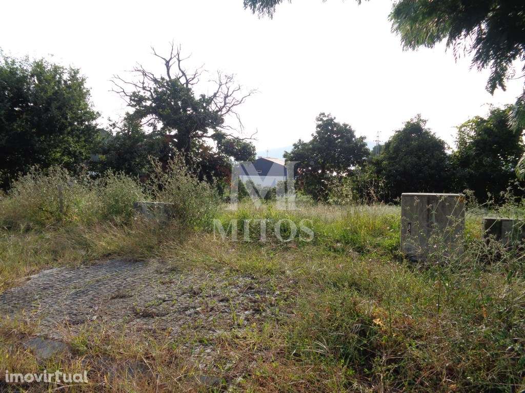 Lote p/ construção - Seixas - Grande imagem: 3/5