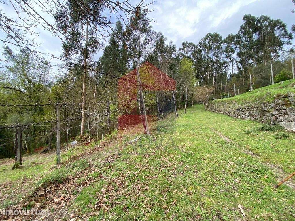 Terreno agrícola / florestal, Barros - Grande imagem: 5/43