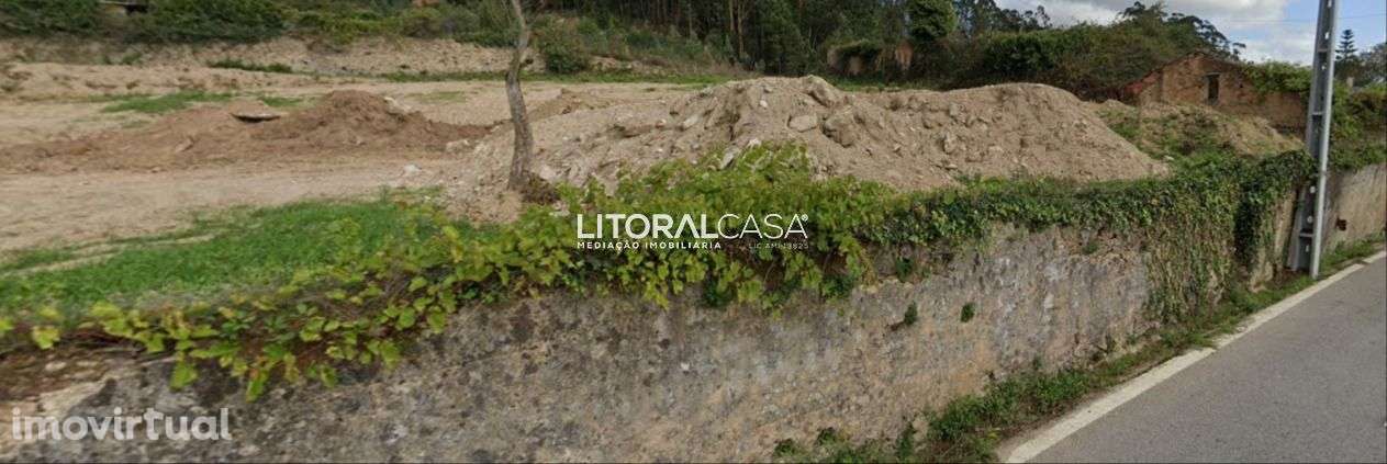 Terreno | Angeja | Albergaria-A-Velha - Grande imagem: 2/4