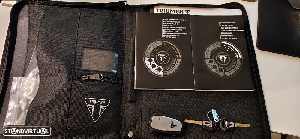 Triumph Tiger Rally Pro - 19
