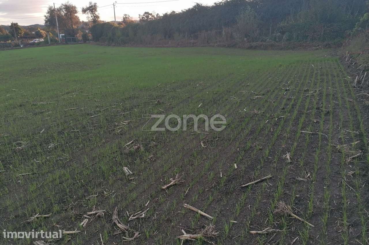 Terreno agrícola com 6.650 M2 em Minhotães-Barcelos - Grande imagem: 3/14