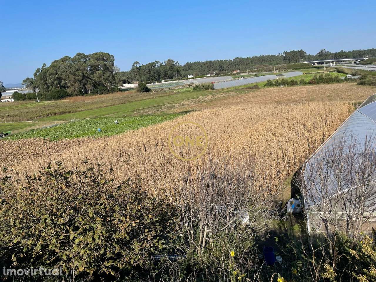 Venda Terreno - Grande imagem: 3/6