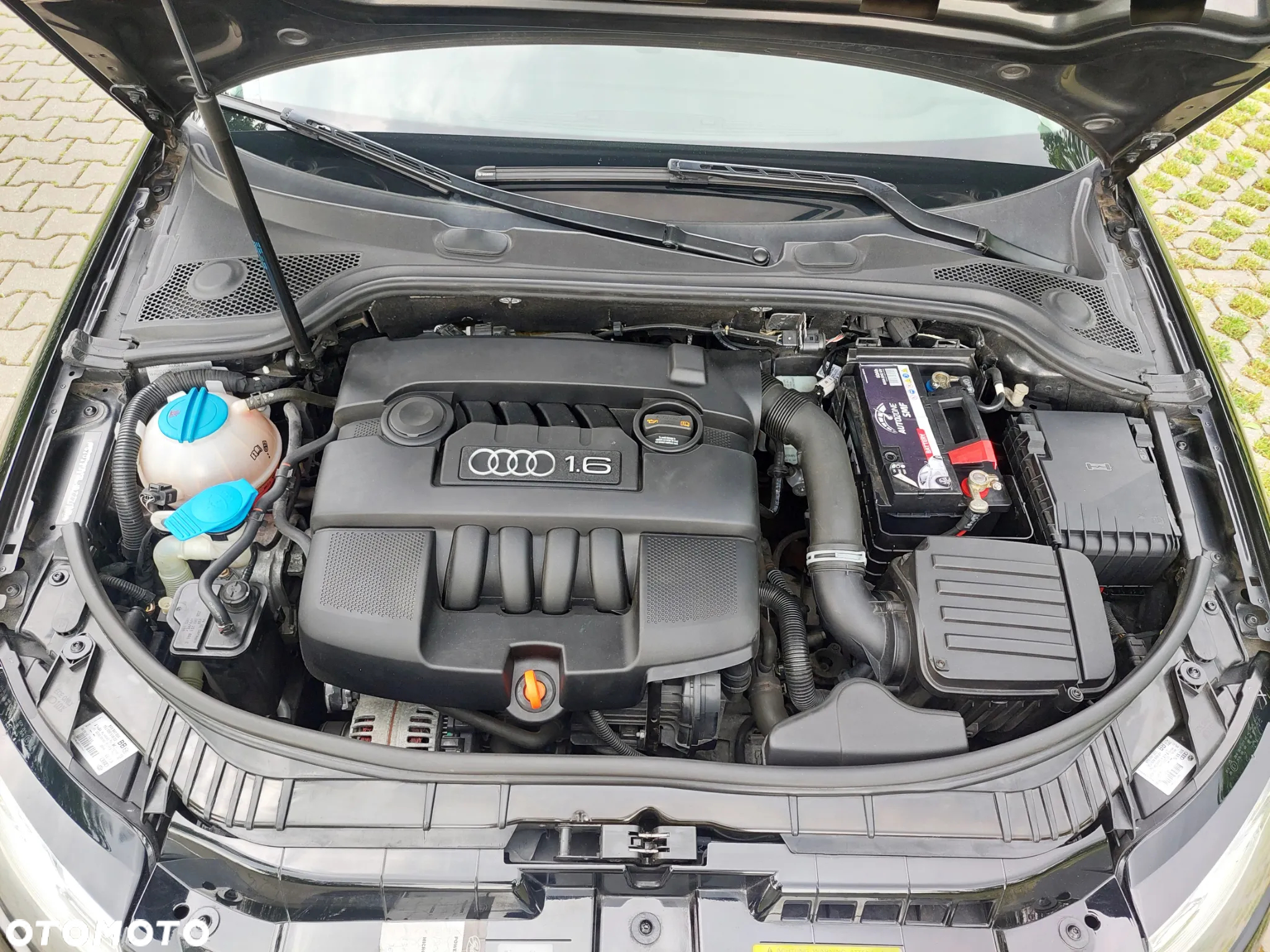 Audi A3 1.6 Attraction - 26