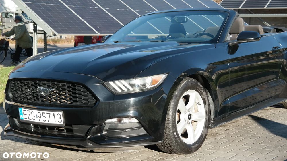 Ford Mustang 3.7 V6 - 19