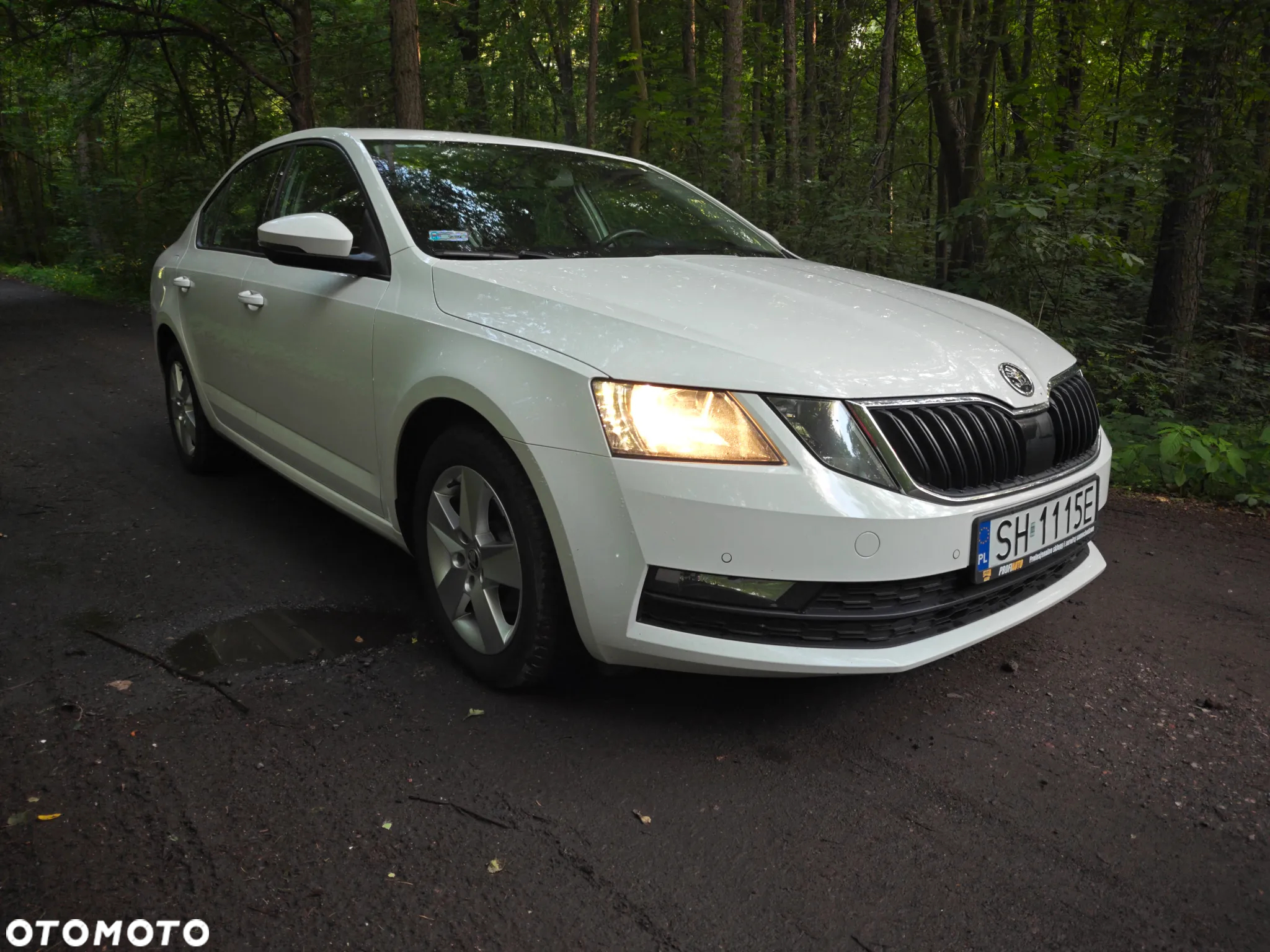 Skoda Octavia 1.6 TDI Ambition - 4