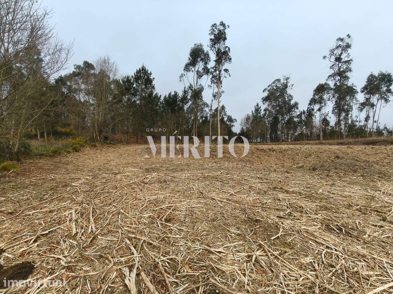 Terreno Agrícola com 10.760m2 em Cossourado frente ao Rio Neiva - Grande imagem: 3/17