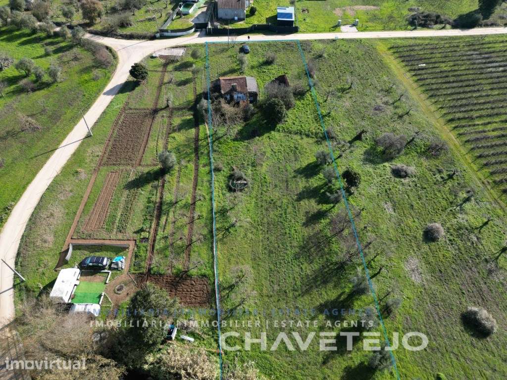 Casa de campo para renovação com excelente potencial perto de Tomar - Grande imagem: 4/29